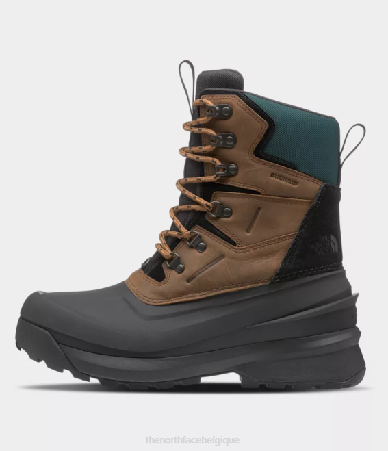 marron grillé/noir tnf Hommes The North Face bottes imperméables chilkat v 400 62XR1267