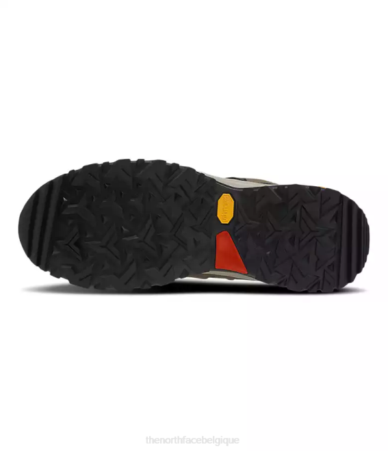bipartisan marron/café Hommes The North Face bottes hérisson fastpack ii mi-wp 62XR1218
