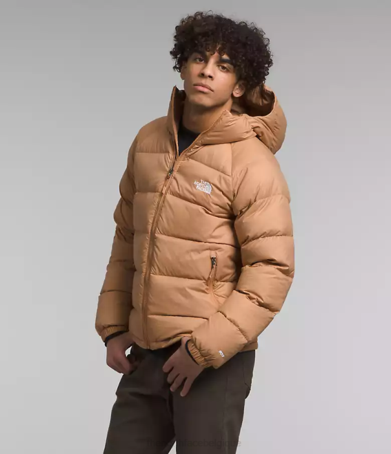 beurre d'amande Hommes The North Face sweat à capuche en duvet hydrenalite 62XR641