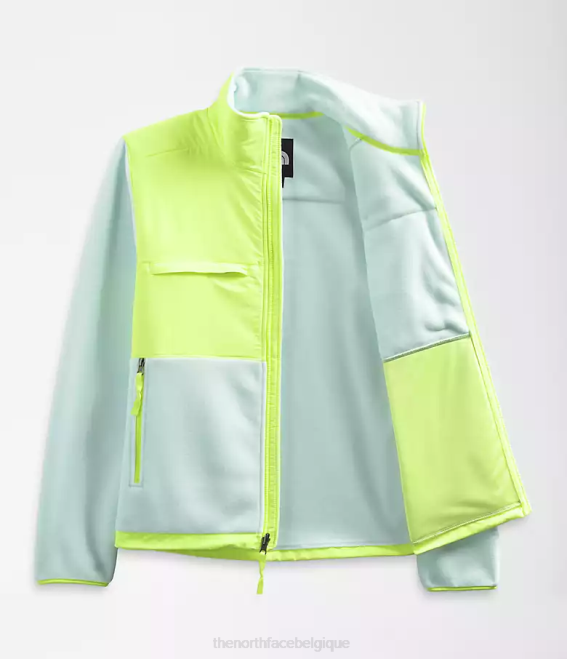 lucarne bleu/led jaune Hommes The North Face veste denali 62XR196