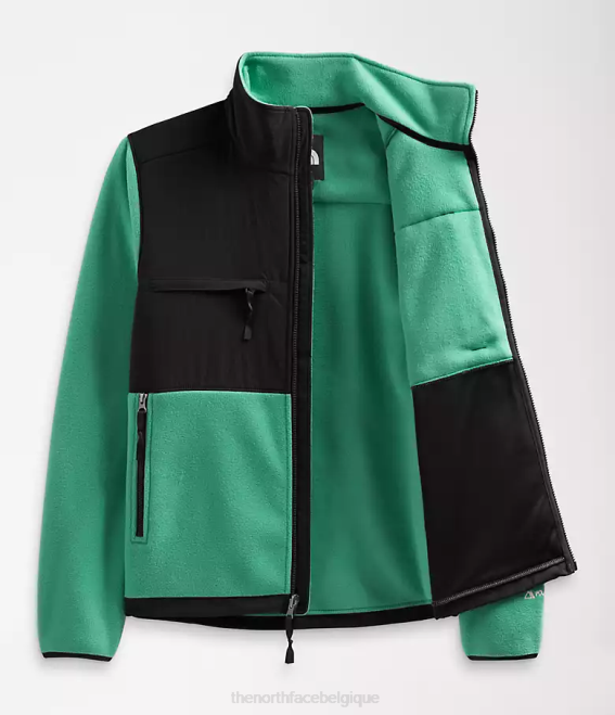 vert herbe profonde Hommes The North Face veste denali 62XR197