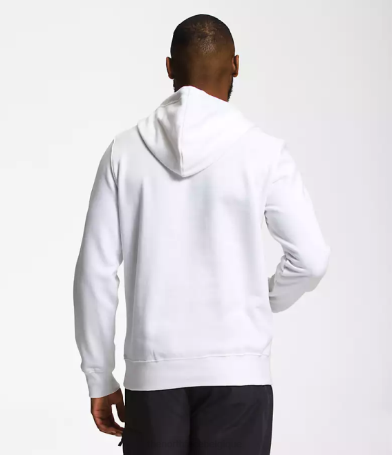 tnf blanc/tnf noir Hommes The North Face sweat à capuche demi-dôme géant 62XR1123