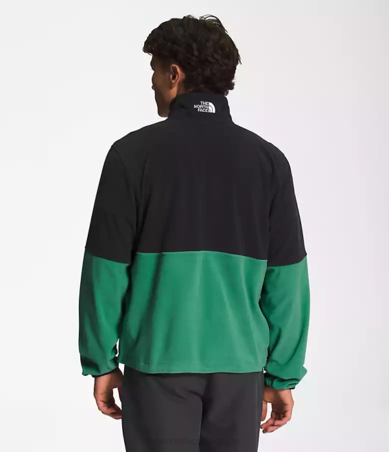vert herbe profonde Hommes The North Face tnf polartec 100 -zip 62XR305