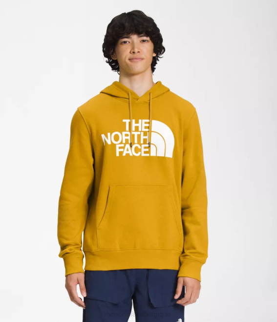bois de flèche jaune Hommes The North Face sweat à capuche demi-dôme 62XR114