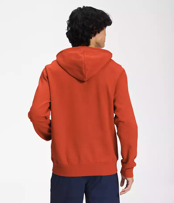 bronze rouillé Hommes The North Face sweat à capuche demi-dôme 62XR112
