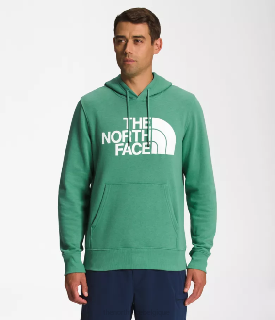 vert herbe foncé/blanc tnf Hommes The North Face sweat à capuche demi-dôme 62XR109