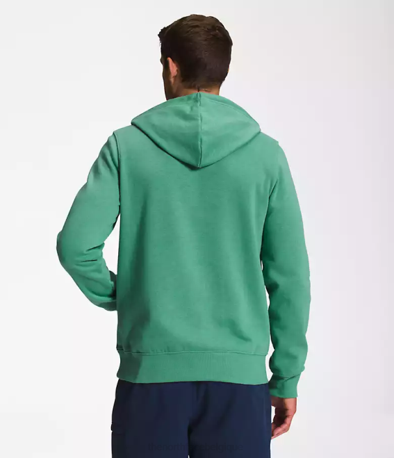 vert herbe foncé/blanc tnf Hommes The North Face sweat à capuche demi-dôme 62XR109