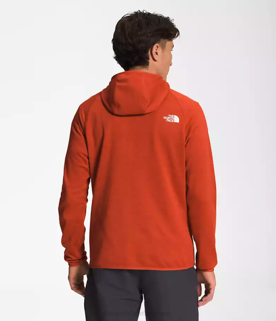 bruyère en bronze rouillé Hommes The North Face sweat à capuche canyonlands 62XR925