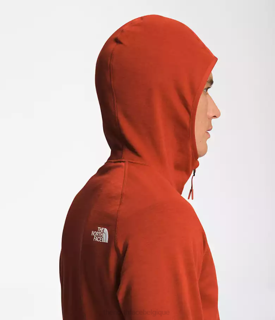 bruyère en bronze rouillé Hommes The North Face sweat à capuche canyonlands 62XR925