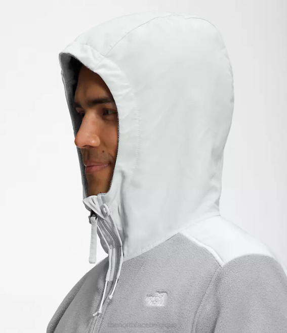 gris fondu/gris étain Hommes The North Face alpine polartec 200 veste à capuche entièrement zippée 62XR831