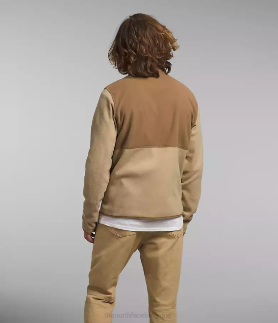 kaki pierre/marron utilitaire Hommes The North Face veste alpine polartec 100 62XR13
