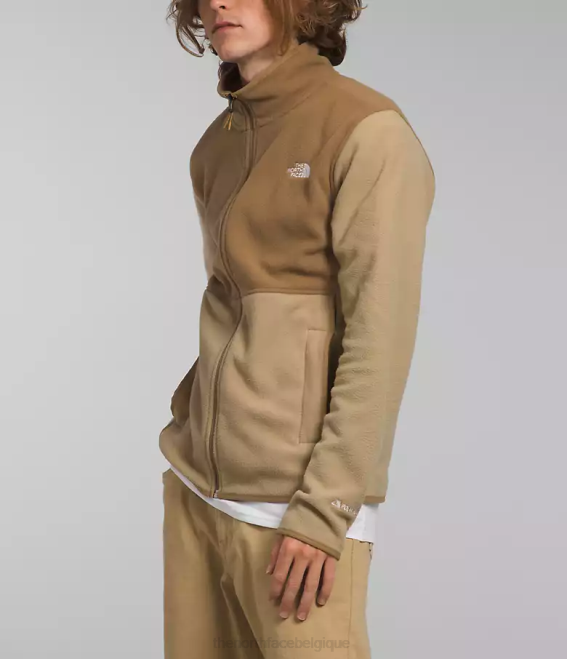 kaki pierre/marron utilitaire Hommes The North Face veste alpine polartec 100 62XR13