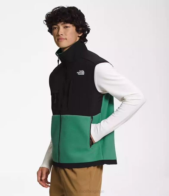 vert herbe profonde Hommes The North Face gilet denali 62XR601