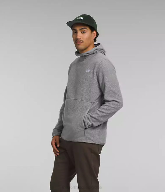 tnf gris moyen chiné Hommes The North Face pull alpin polartec 100 62XR117