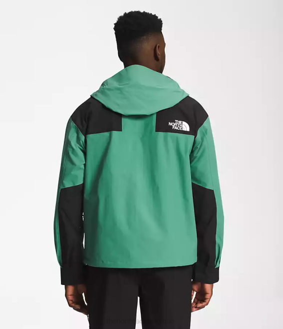 vert herbe profonde Hommes The North Face veste de montagne rétro 86 62XR1295