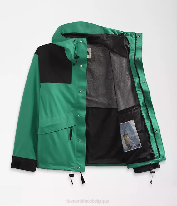 vert herbe profonde Hommes The North Face veste de montagne rétro 86 62XR1295