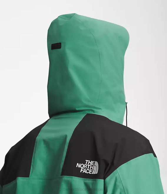 vert herbe profonde Hommes The North Face veste de montagne rétro 86 62XR1295