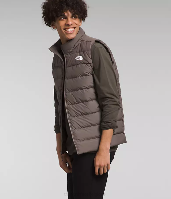 faucon brun Hommes The North Face gilet aconcagua 3 62XR992