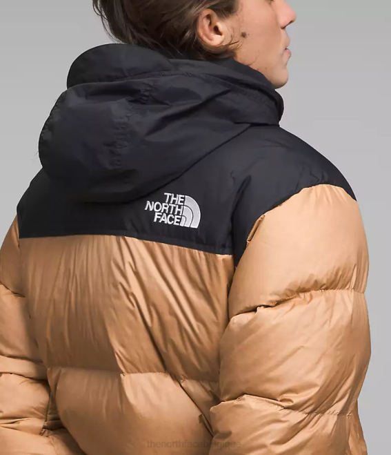 beurre d'amande/tnf noir Hommes The North Face veste nuptse rétro 1996 62XR471