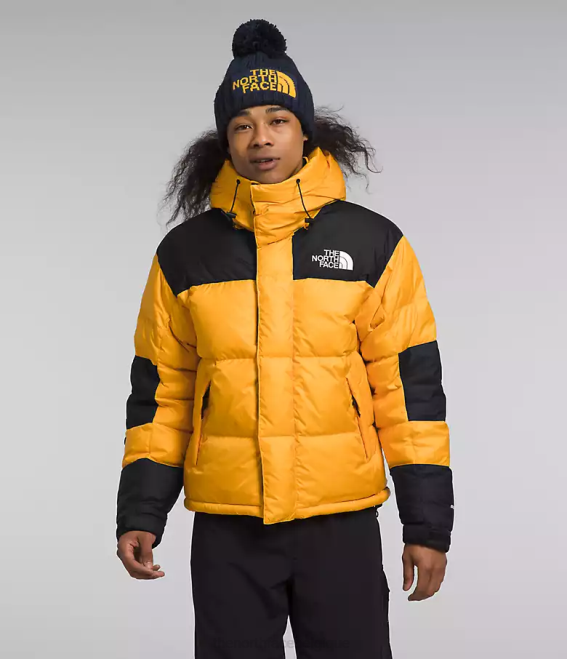 sommet or/tnf noir Hommes The North Face veste hmlyn baltoro 62XR1004