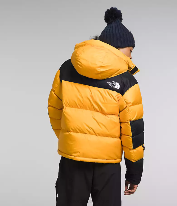 sommet or/tnf noir Hommes The North Face veste hmlyn baltoro 62XR1004