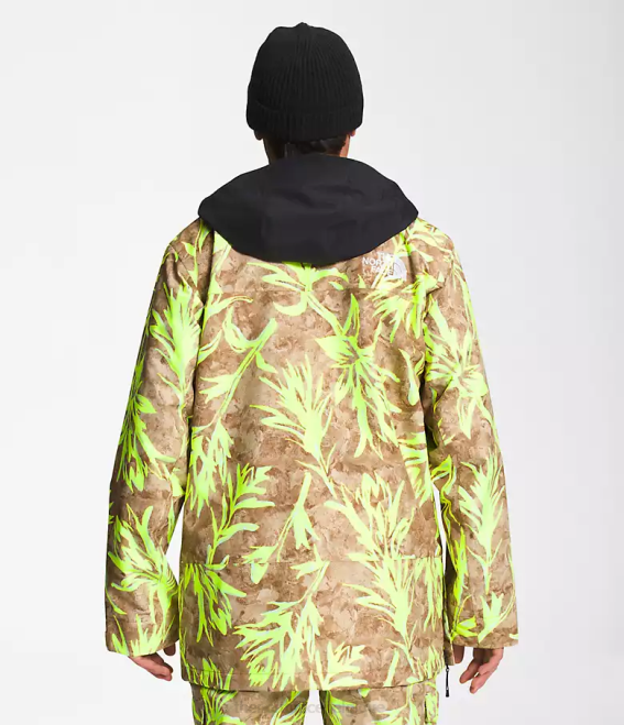imprimé pinceau marron utilitaire/noir tnf Hommes The North Face anorak silvani 62XR1121