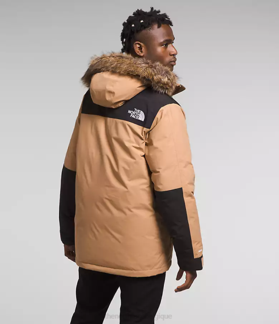 beurre d'amande/tnf noir Hommes The North Face parka mcmurdo 62XR4
