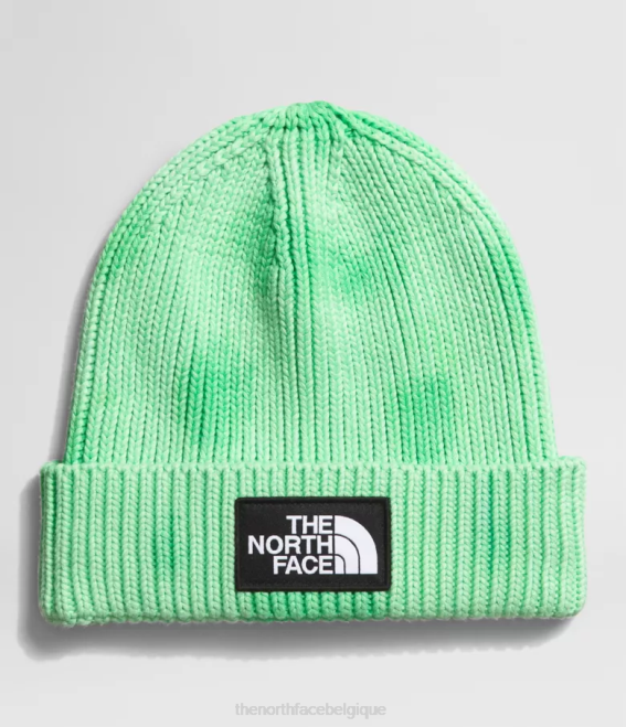 vert de chlorophylle unisexe The North Face bonnet à logo tie-dye 62XR795