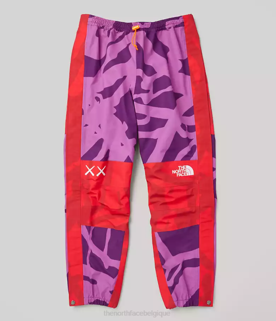 kw pamplona violet mtn imprimé clair unisexe The North Face pantalon léger tnf x kaws mountain 62XR607